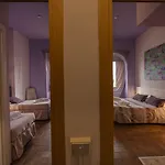 Palazzo Renieri - 3stelle S 3*