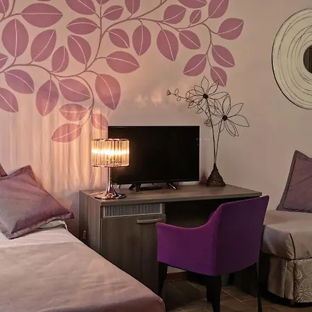 Hotel Hotel Palazzo Renieri - 3Stelle S